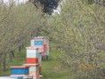 /album/fotogaleria-instalaciones/inst1-jpg/